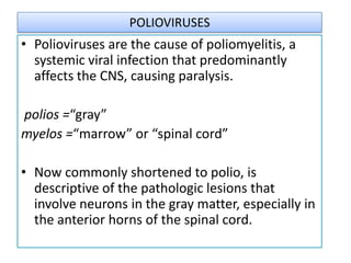 POLIOVIRUSES
• Polioviruses are the cause of poliomyelitis, a
  systemic viral infection that predominantly
  affects the CNS, causing paralysis.

polios =“gray”
myelos =“marrow” or “spinal cord”

• Now commonly shortened to polio, is
  descriptive of the pathologic lesions that
  involve neurons in the gray matter, especially in
  the anterior horns of the spinal cord.
 