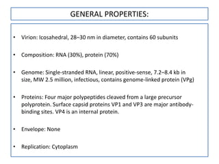 GENERAL PROPERTIES:

• Virion: Icosahedral, 28–30 nm in diameter, contains 60 subunits

• Composition: RNA (30%), protein (70%)

• Genome: Single-stranded RNA, linear, positive-sense, 7.2–8.4 kb in
  size, MW 2.5 million, infectious, contains genome-linked protein (VPg)

• Proteins: Four major polypeptides cleaved from a large precursor
  polyprotein. Surface capsid proteins VP1 and VP3 are major antibody-
  binding sites. VP4 is an internal protein.

• Envelope: None

• Replication: Cytoplasm
 