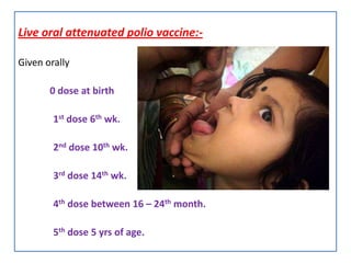 Live oral attenuated polio vaccine:-

Given orally

       0 dose at birth

        1st dose 6th wk.

        2nd dose 10th wk.

        3rd dose 14th wk.

        4th dose between 16 – 24th month.

        5th dose 5 yrs of age.
 