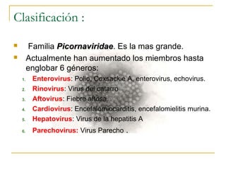 Clasificación :
 Familia PicornaviridaePicornaviridae. Es la mas grande.
 Actualmente han aumentado los miembros hasta
englobar 6 géneros:
1. Enterovirus: Polio, Coxsackie A, enterovirus, echovirus.
2. Rinovirus: Virus del catarro
3. Aftovirus: Fiebre aftosa.
4. Cardiovirus: Encefalomiocarditis, encefalomielitis murina.
5. Hepatovirus: Virus de la hepatitis A
6. Parechovirus: Virus Parecho .
 