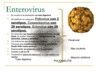 Enterovirus Su nombre a la localización en tubo digestivo

Se clasifican en subgrupos: Poliovirus con 3
serotipos, Coxsackievirus con
28 serotipos, Echovirus con 29
serotipos.
 Se transmiten por fecalismo y por secreciones de vías
áreas, se pueden diseminar por contaminación de
alimentos, manos y utensilios.
 Los enteroviurs son el grupo mas virulento.
 Provocan gran manifestación clínicas y subclínicas.
Desde fiebre hasta parálisis.
 Responsables de epidemias como la poliomielitis.
 Estables a pH 3 a 10
 Temperatura optima de replicación 37 C.se replican con
rapidez.
Tubo digestivo
Fecal-oral
POLIOMIELITIS
Mas virulento
Mayoría citoliticos
 