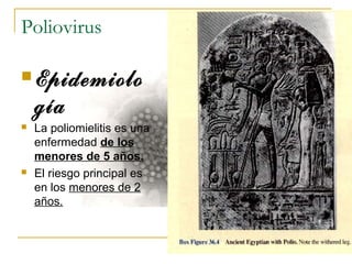 Poliovirus
Epidemiolo
gía
 La poliomielitis es una
enfermedad de los
menores de 5 años.
 El riesgo principal es
en los menores de 2
años.
 
