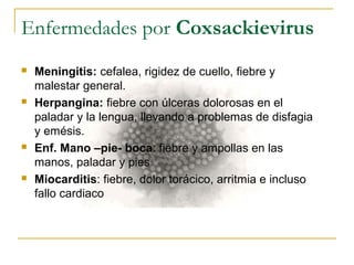 Enfermedades por Coxsackievirus
 Meningitis: cefalea, rigidez de cuello, fiebre y
malestar general.
 Herpangina: fiebre con úlceras dolorosas en el
paladar y la lengua, llevando a problemas de disfagia
y emésis.
 Enf. Mano –pie- boca: fiebre y ampollas en las
manos, paladar y pies
 Miocarditis: fiebre, dolor torácico, arritmia e incluso
fallo cardiaco
 