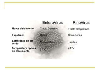 EnteroVirusEnteroVirus RinoVirusRinoVirus
Mayor aislamiento: Tracto Digestivo Tracto Respiratorio
Expulsan: Heces Secreciones
Estabilidad en pH
acido:
Muy estables Lábiles
Temperatura optima
de crecimiento:
37 ºC
33 ºC
 