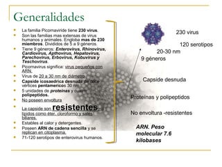 Generalidades
 La familia Picornaviride tiene 230 virus.
 Son las familias mas extensas de virus
humanos y animales. Engloba mas de 230
miembros. Divididos de 5 a 9 géneros.
 Tiene 9 géneros: Enterovirus, Rhinovirus,
Cardiovirus, Apthovirus, Hepatovirus,
Parechovirus, Erbovirus, Kobuvirus y
Teschovirus.
 Picornavirus significa: virus pequeños con
ARN.
 Virus de 20 a 30 nm de diámetro
 Capside icosaedrica desnuda de doce
vértices pentamericos 30 nm
 5 unidades de proteínas y cuatro
polipeptidos.
 No poseen envoltura

La capside son resistentes a
lípidos como éter, cloroformo y sales
biliares.
 Estables al calor y detergentes.
 Poseen ARN de cadena sencilla y se
replican en citoplasma.
 71-120 serotipos de enterovirus humanos.
230 virus
9 géneros
20-30 nm
Capside desnuda
Proteínas y polipeptidos
No envoltura -resistentes
ARN. Peso
molecular 7.6
kilobases
120 serotipos
 