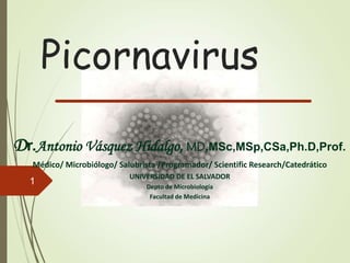 Picornavirus
Dr.Antonio Vásquez Hidalgo, MD,MSc,MSp,CSa,Ph.D,Prof.
Médico/ Microbiólogo/ Salubrista /Programador/ Scientific Research/Catedrático
UNIVERSIDAD DE EL SALVADOR
Depto de Microbiología
Facultad de Medicina
1
 