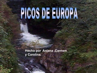 PICOS DE EUROPA Hecho por  Anjana ,Carmen y Carolina. 