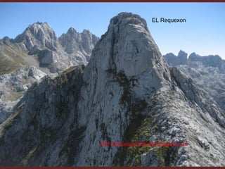 EL Requexon




http://telojuropormisbotas.blogspot.com
 