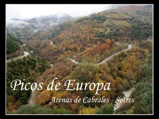 Picos de Europa
      Arenas de Cabrales - Sotres
 