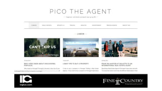 Pico the Agent