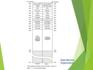 Data Memory
Organization
 