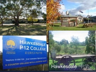 Hawkesdale  中学   
