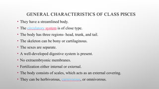 Pisces Modality Comprehensive Overview of Pisces: Classification, Characteristics, and ...