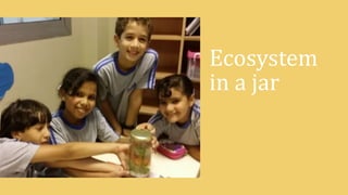 Ecosystem
in a jar
 
