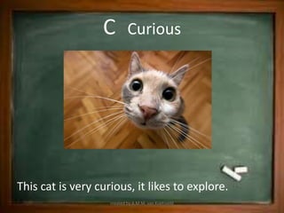 C         Curious




This cat is very curious, it likes to explore.
                    created by A.M.M. van Koetsveld
 