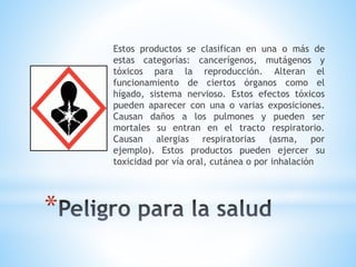 Pictogramas Ruth PPTX