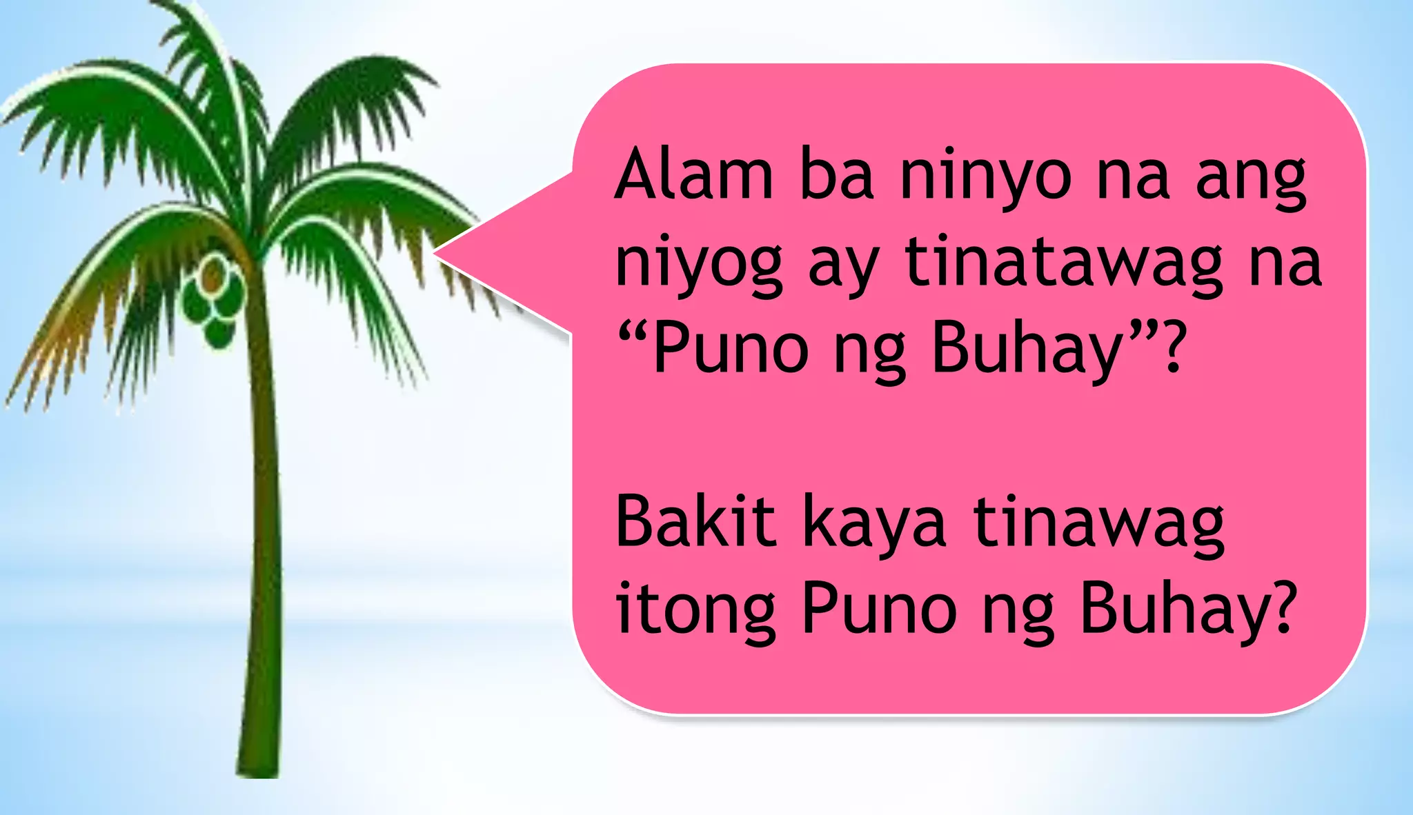 Alam ba ninyo na ang
niyog ay tinatawag na
“Puno ng Buhay”?
Bakit kaya tinawag
itong Puno ng Buhay?
 