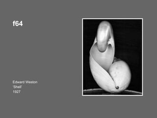 Edward Weston
‘Shell’
1927
f64
 