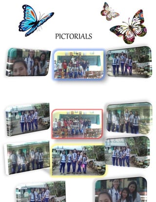 PICTORIALS
 