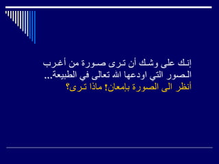 إنـك على وشـك أن تـرى صـورة من أغـرب الـصور التي اودعها الله تعالى في الطبيعة ...  أنظر الى الصورة بإمعان !  ماذا تـرى؟   