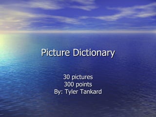 Picture Dictionary 30 pictures 300 points By: Tyler Tankard 