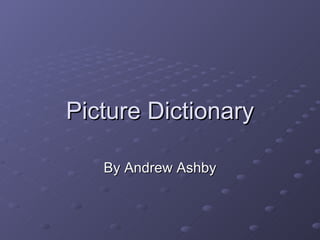 Picture Dictionary By Andrew Ashby 
