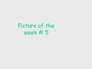 Picture of the week # 5 
