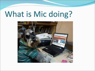 What is Mic doing? 
