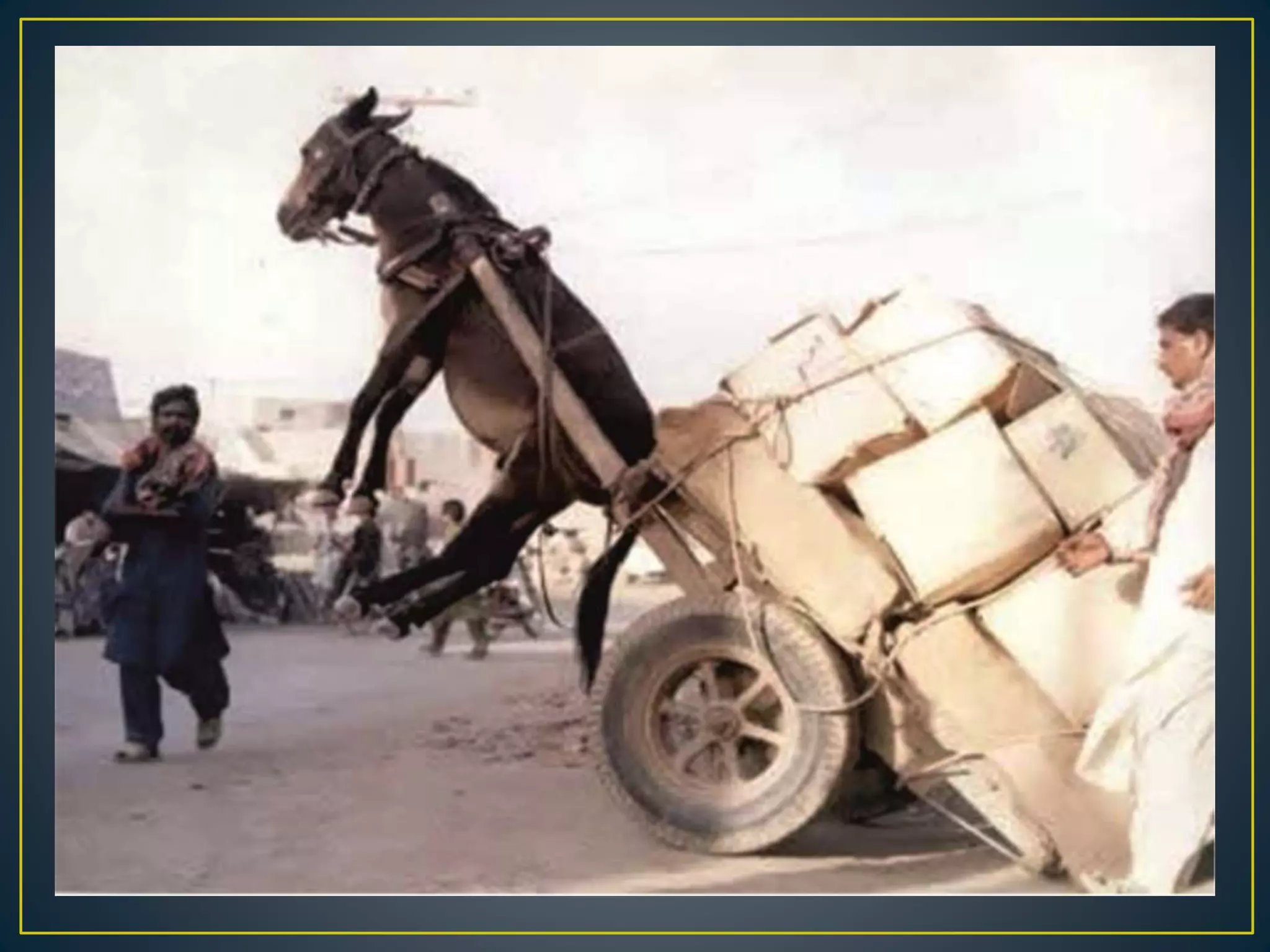 Picture description | PPTX