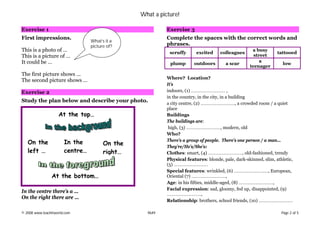 Picture description b1 PET | PDF