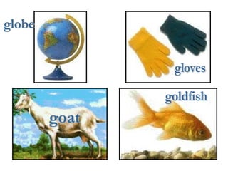globe goat gloves goldfish 