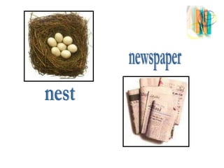 nest newspaper 