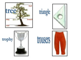 tree trophy triangle trousers 
