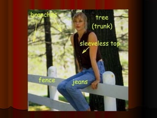 Picture dictionary 1