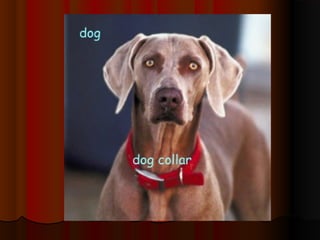 Picture dictionary 1