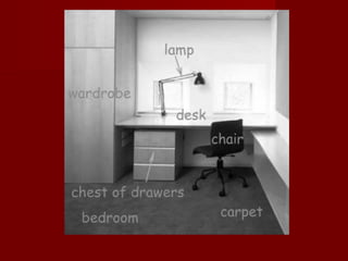 Picture dictionary 4