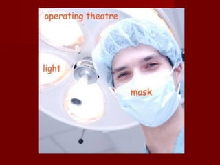 Picture dictionary 5