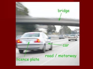 Picture dictionary 5