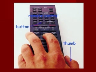 Picture dictionary 5