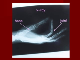 Picture dictionary 5