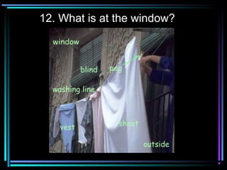 12. What is at the window?
 