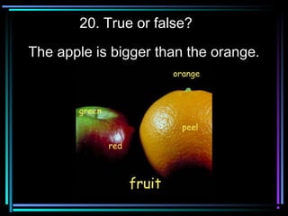 20. True or false?
The apple is bigger than the orange.
 