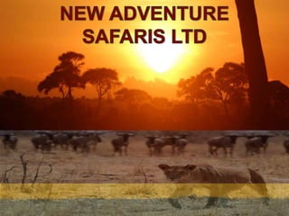 NEW ADVENTURE SAFARIS LTD