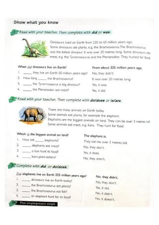 Picture grammar for children 4