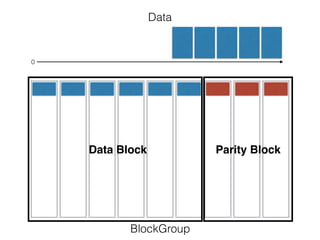 Data
BlockGroup
0
Data Block Parity Block
 