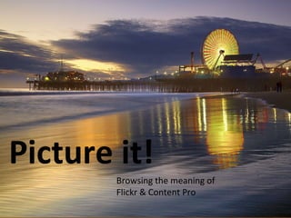 Picture it! Browsing the meaning of  Flickr & Content Pro 