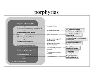porphyrias 