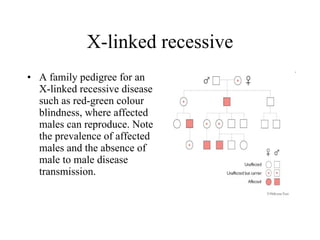 X-linked recessive A family pedigree for an X-linked recessive disease such as red-green colour blindness, where affected males can reproduce. Note the prevalence of affected males and the absence of male to male disease transmission.  