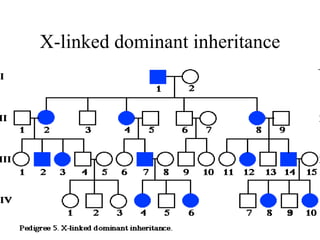 X-linked dominant inheritance 