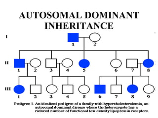 AUTOSOMAL DOMINANT INHERITANCE 